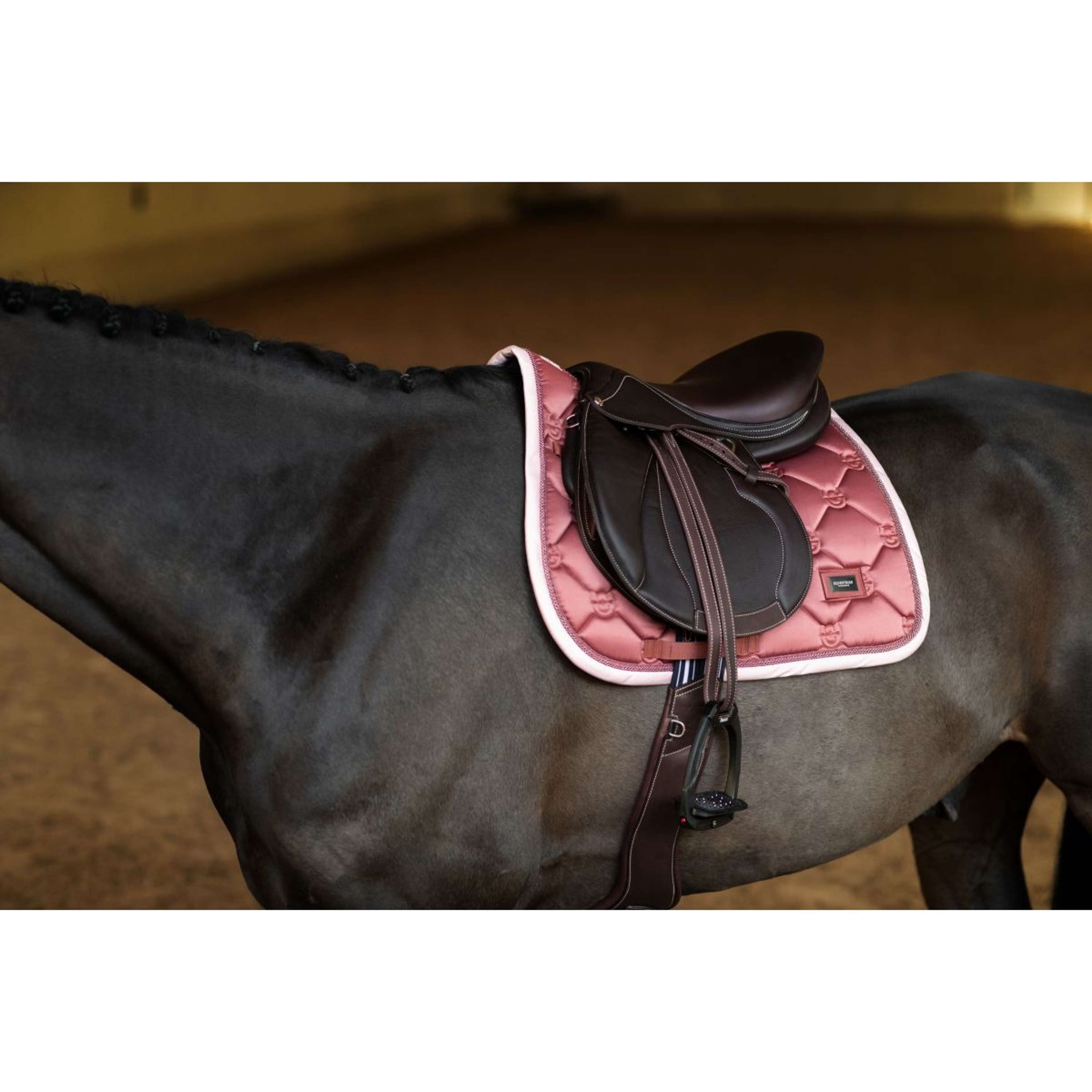 Equestrian Stockholm Zadeldekje Springen Amber Rose