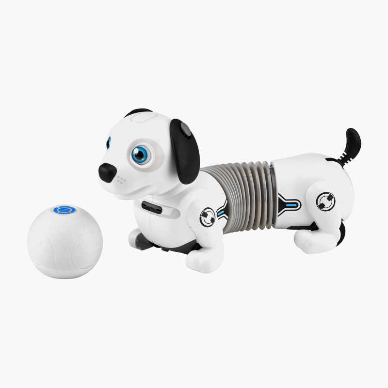 Robothund