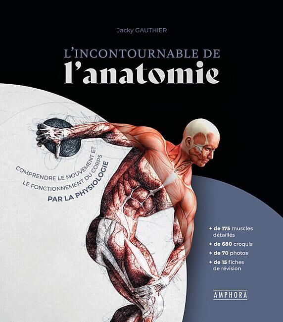 AMPHORA - L INCONTOURNABLE DE L ANATOMIE