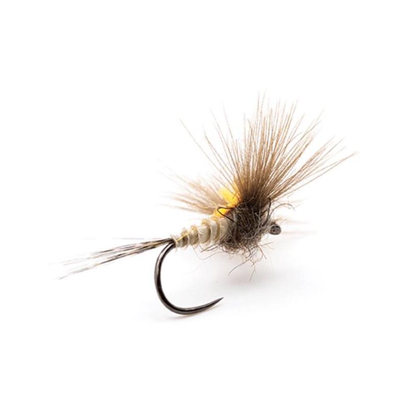 Mouche Devaux Emergente Jbe08