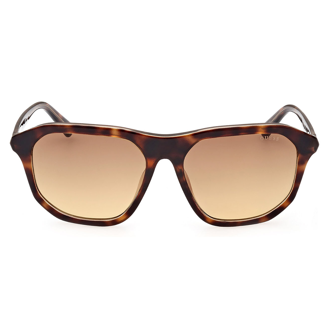 Guess Lunettes de soleil Homme brunes