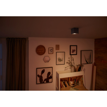 Philips opbouwspot MyLiving Box LED Zwart 4.5W