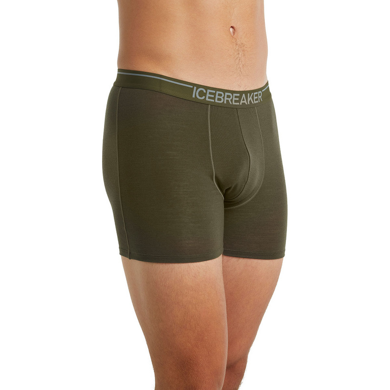 Icebreaker Herren Anatomica Weekdays Boxer