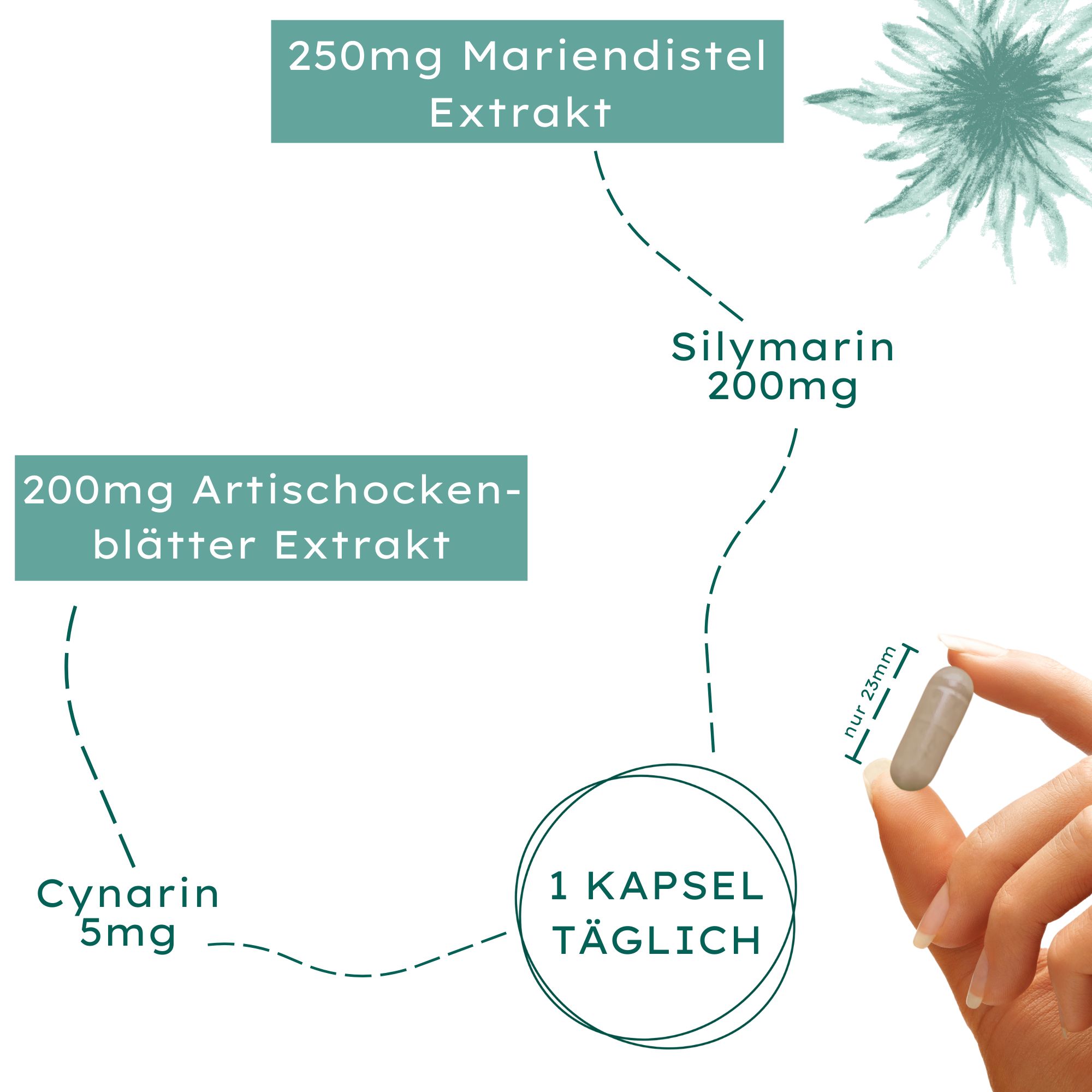 Nature Basics Mariendistel Komplex