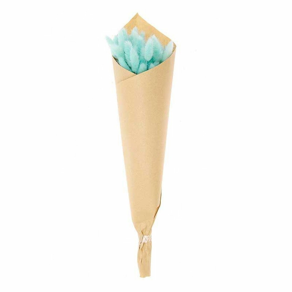 12 tiges de lagurus séchés turquoise - 45 cm