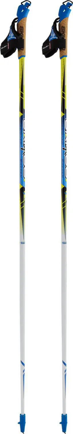 SkiGo 50% Carbon Rulleski Stav | SkatePro