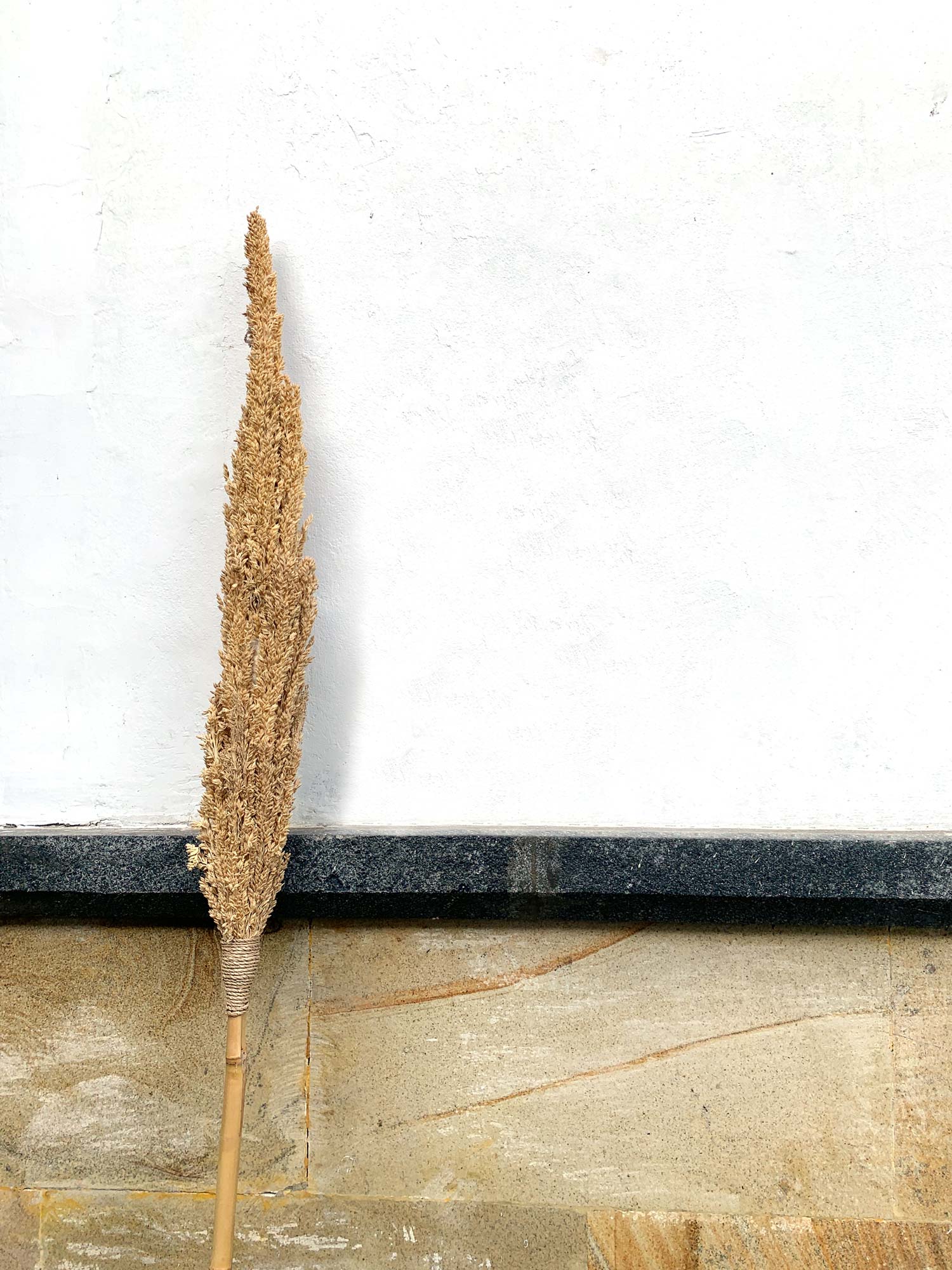 Bambus-Stab mit Trockenblumen, natur, H 180 cm, Ø 7 cm von fischer's lagerhaus