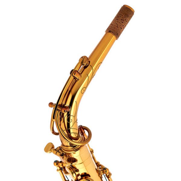 Forestone Alto Sax RX Gold Lacquered