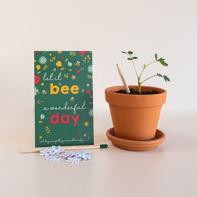 Bloeipotloden - Let it Bee   confetti