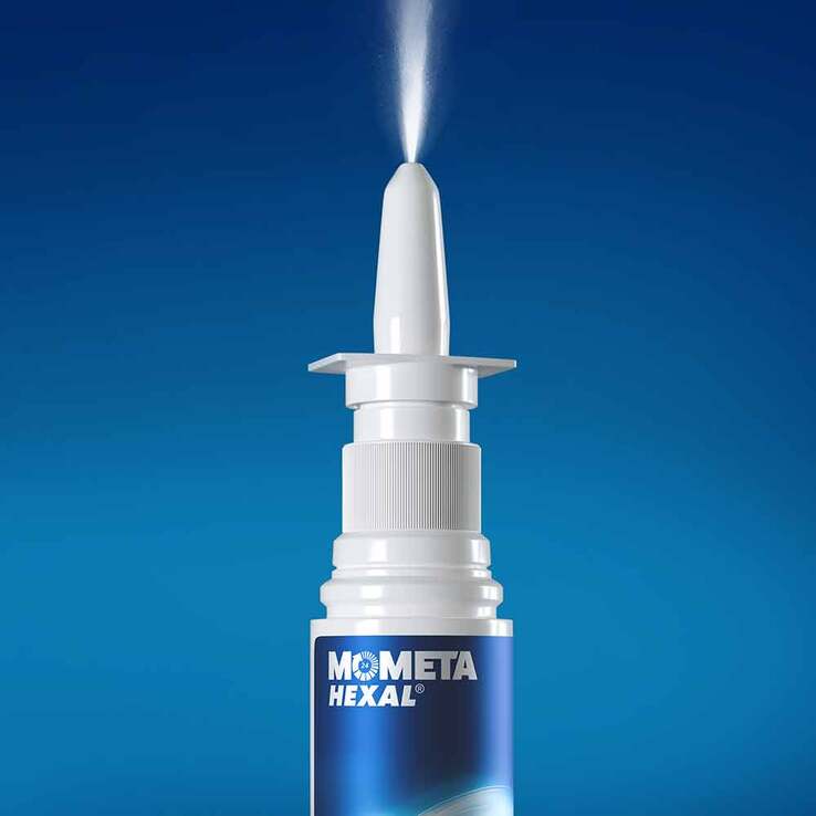 MometaHEXAL Heuschnupfenspray, 10 g