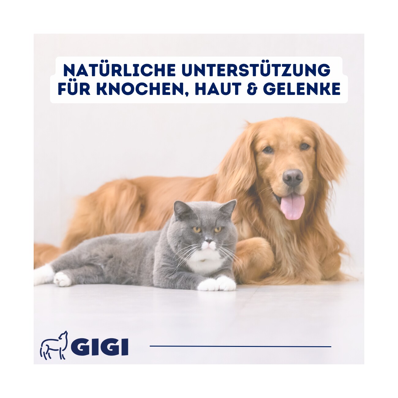 GIGI VET Calci-Cod-Omega 21 Stück