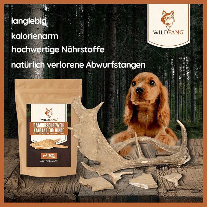 WILDFANG® Damhirsch Geweih-Kaustab