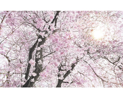 Vliesbehang SH083-VD4 Stefan Hefele Ed 1 Bloom 4-delige set 400 x 250 cm