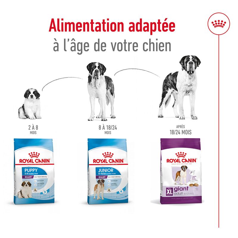 Royal Canin Giant Adult à prix discount sur bitiba.fr
