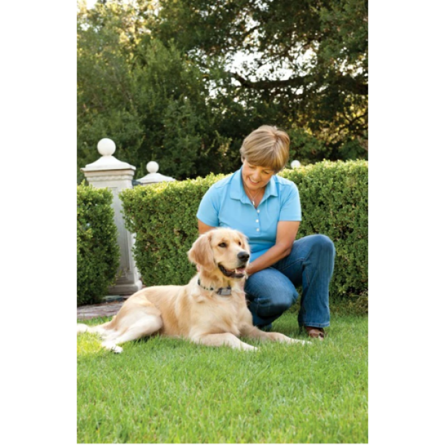 Collier anti-aboiement Petsafe en spray pour petits et moyens chiens