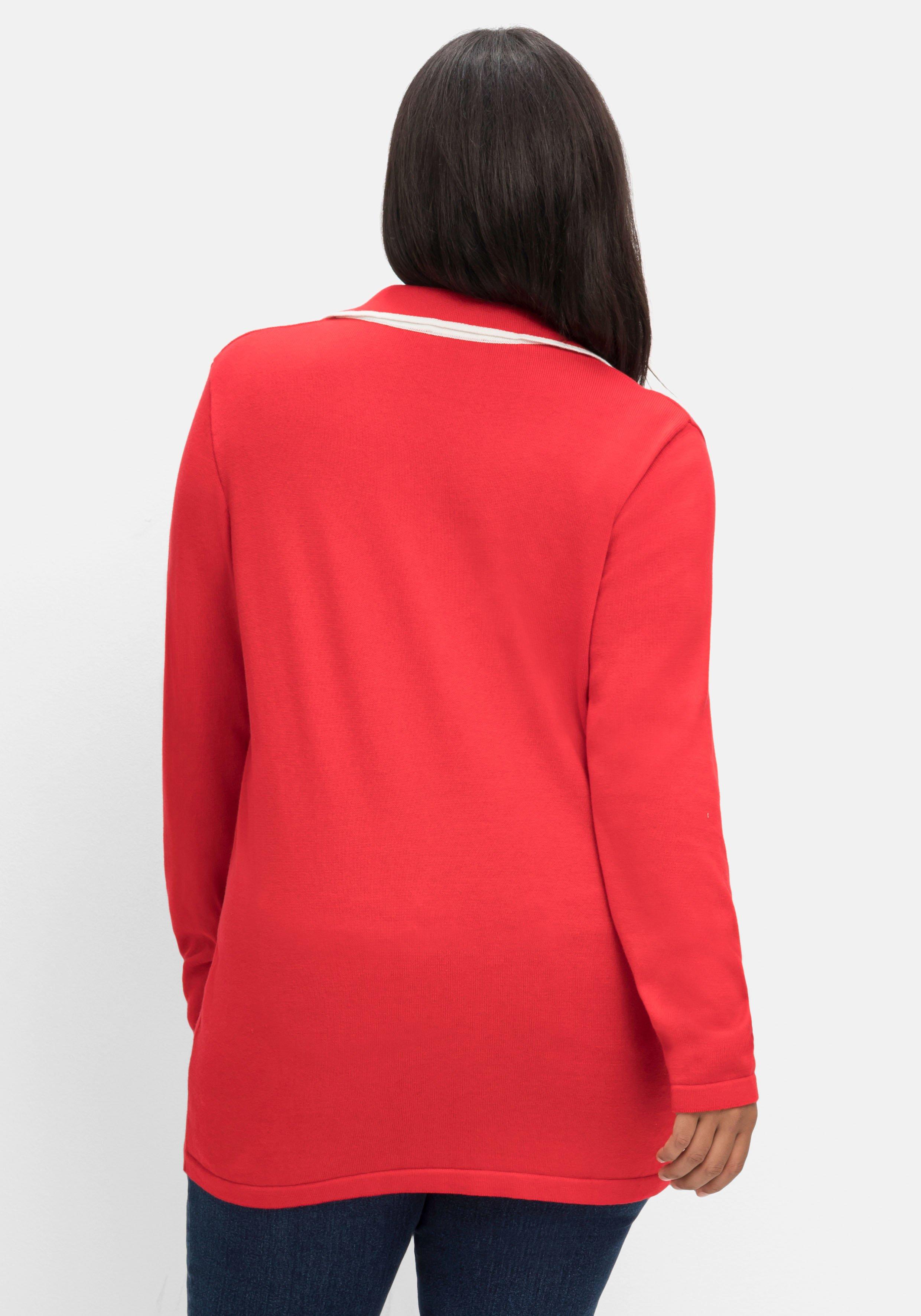 Pullover mit  V-Ausschnitt und Polokragen