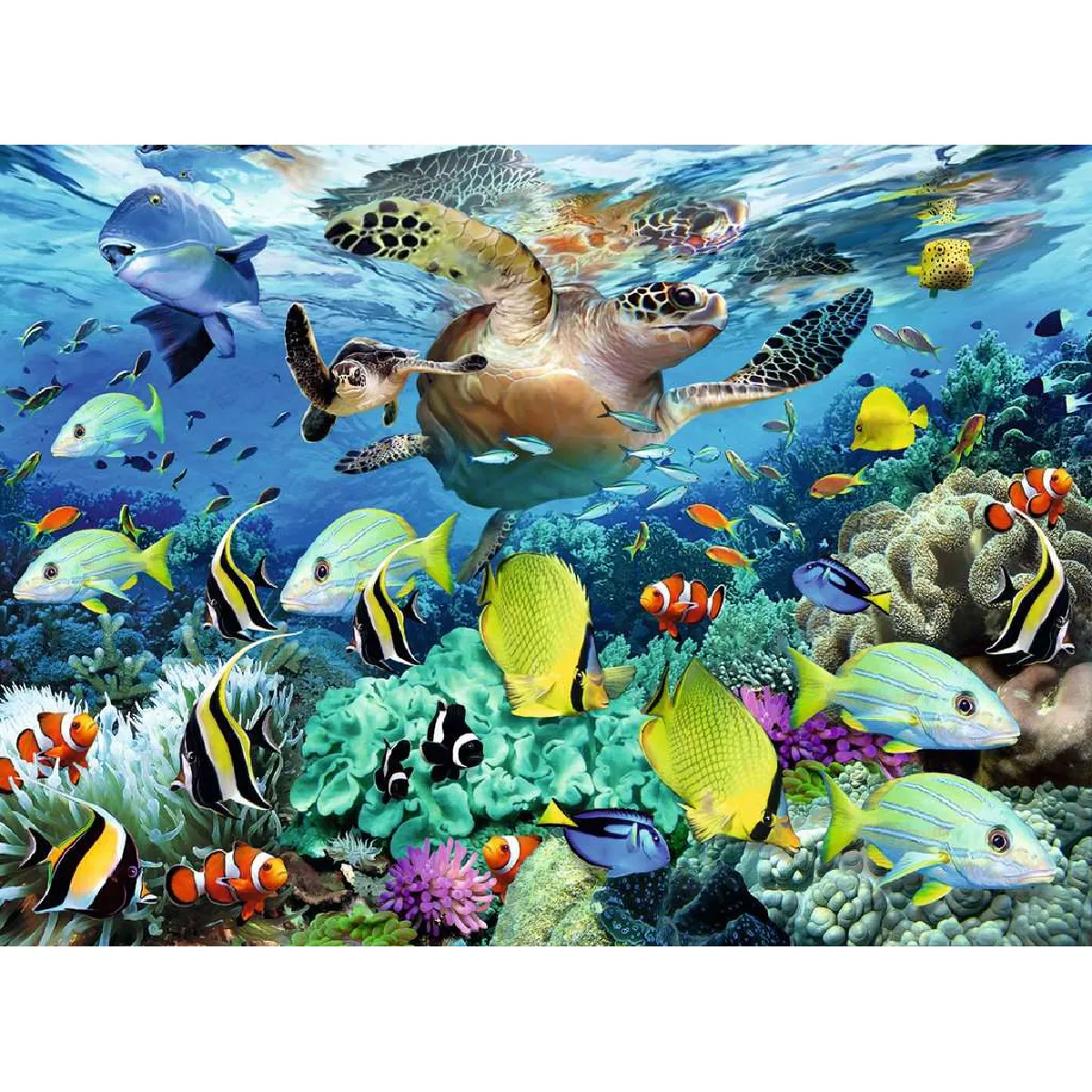 Ravensburger Sous l'eau
