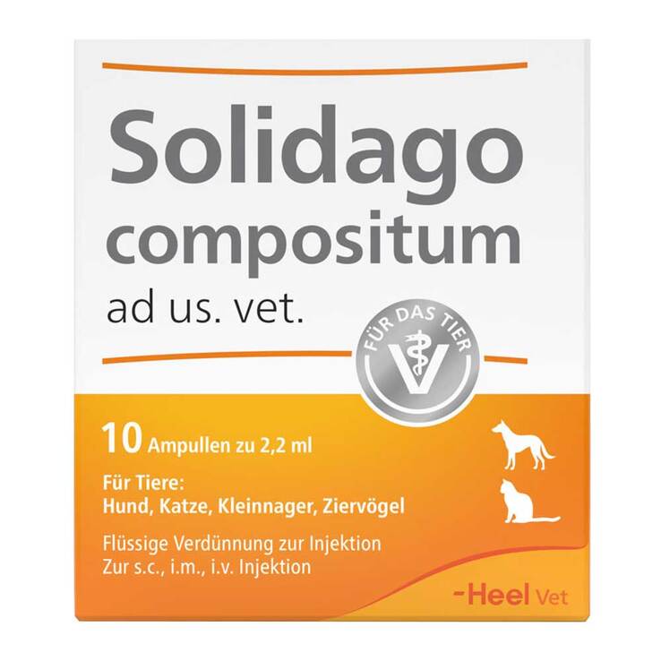 Solidago compositum ad us. vet. Ampullen, 10 St
