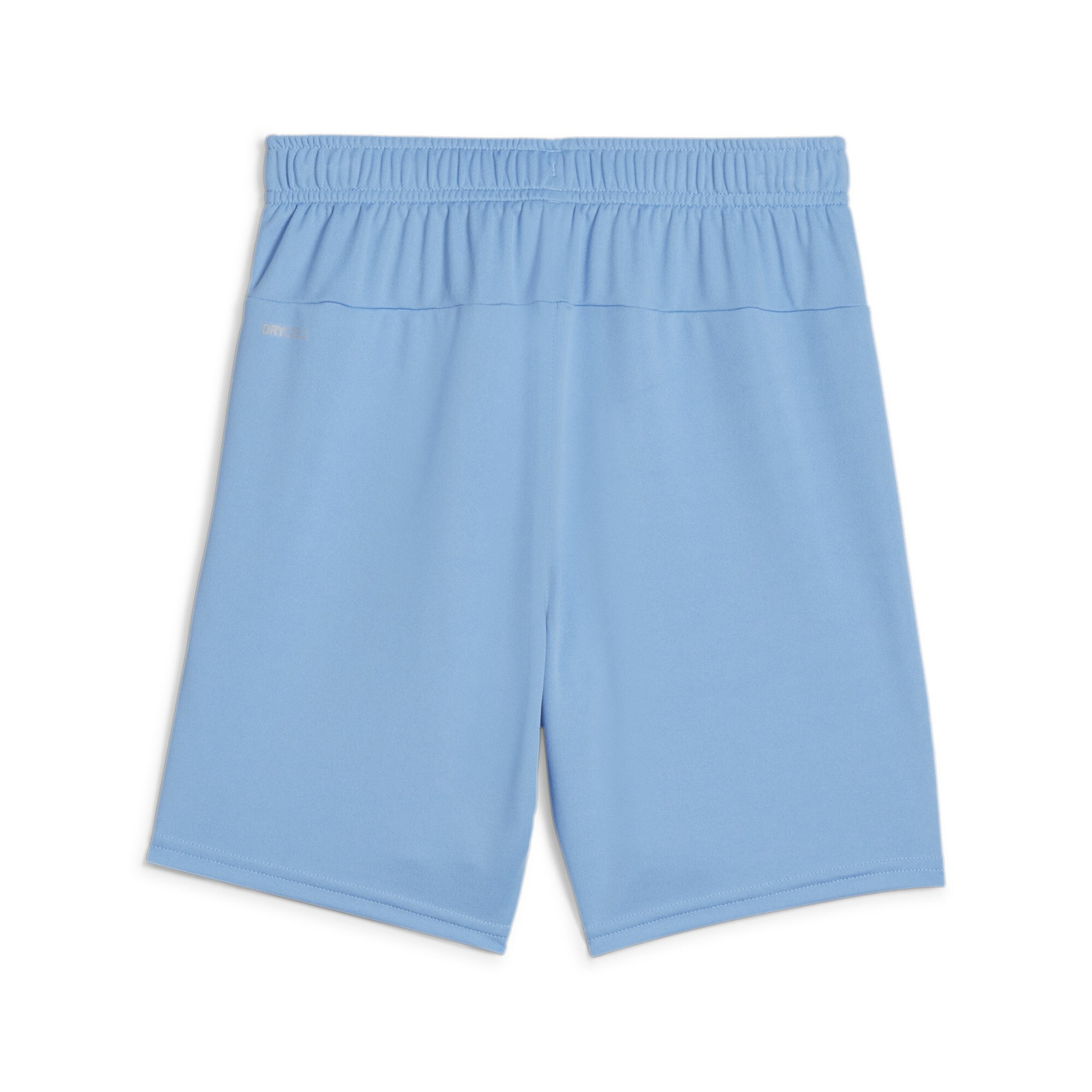 PUMA teamGOAL Matchday Voetbaltenue Kids Lichtblauw Wit