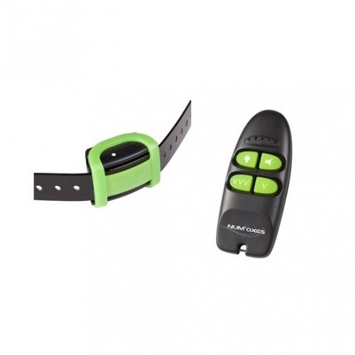 CANICOM cor suave Preto e verde