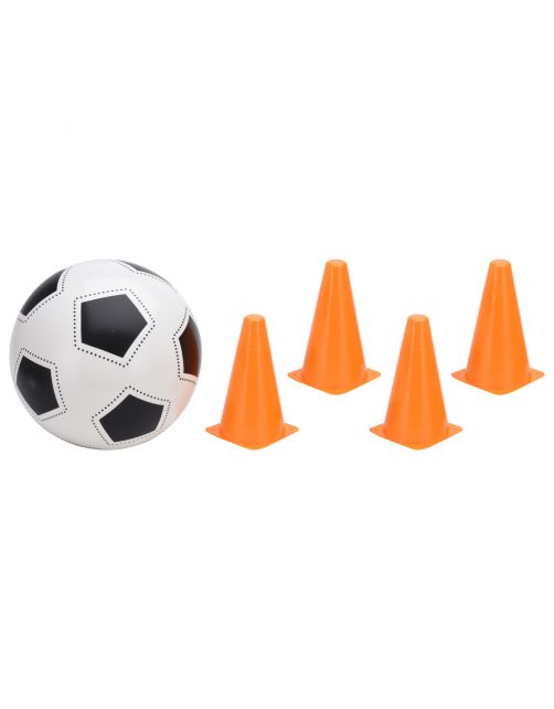 Homestyle 4 Pionnen Met Bal - Speelgoed - 22 cm