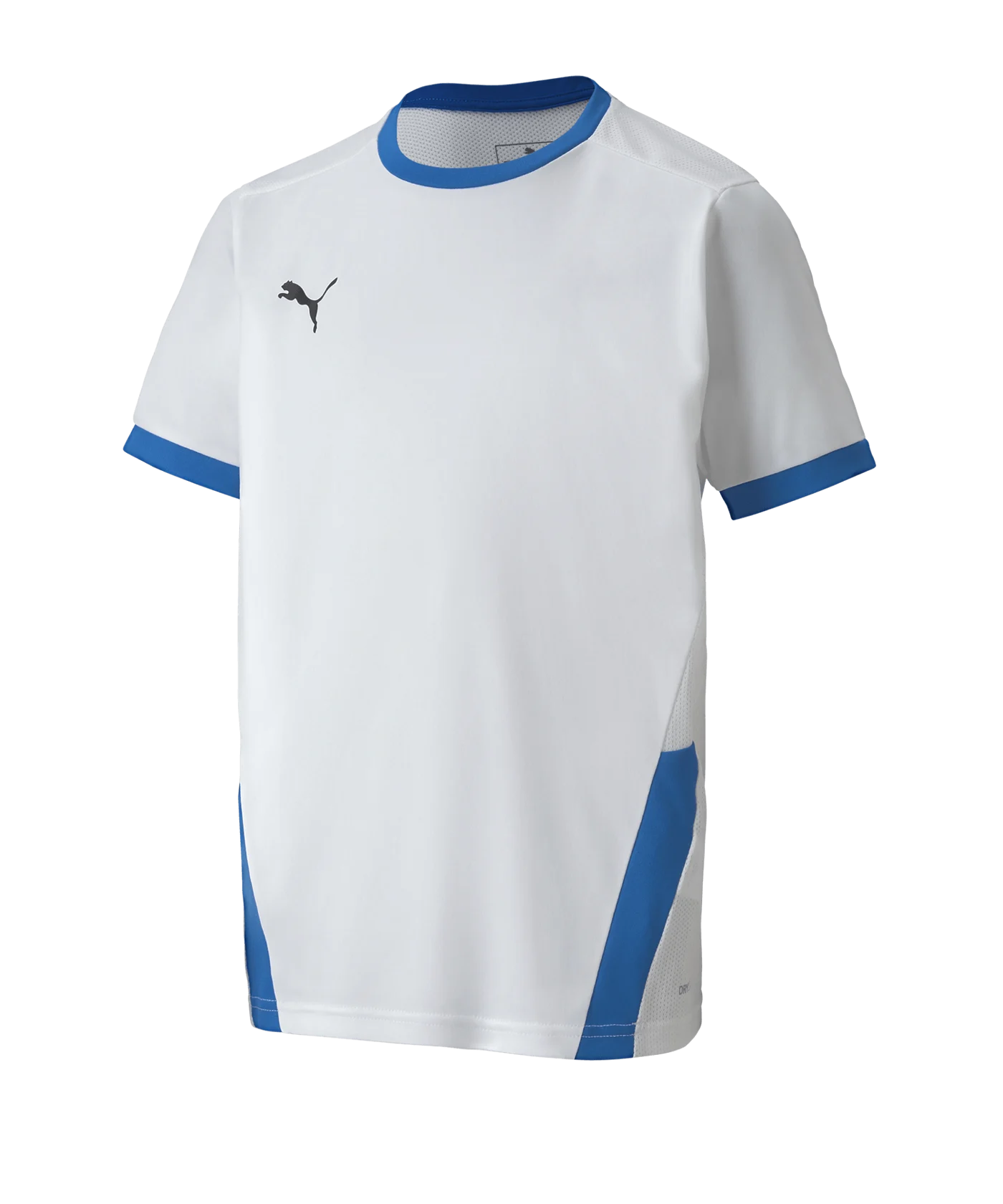PUMA teamGOAL 23 Trikot kurzarm Kids Weiss F12
