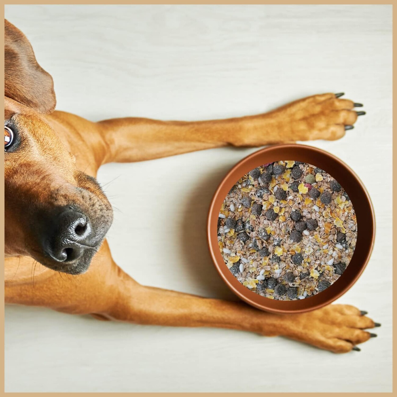 Supravit Flockenmix Plus für Hunde - schmackhafte Flockenmischung für deinen Hund - optimale Ergänzung zur Fleischfütterung, Hundewurst oder Trockenfleisch… 5 kg