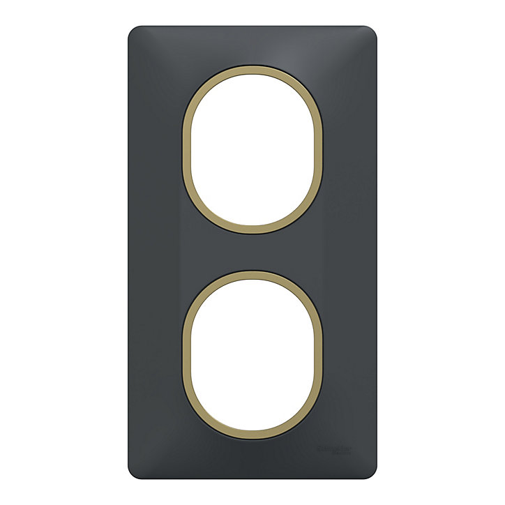 Plaque de finition double verticale Schneider Electric Ovalis gris anthracite bague laiton