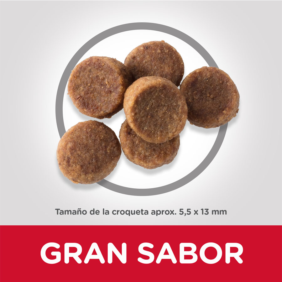 Ração Hill's Science Plan para Filhotes de Porte Grande com Sabor de Frango