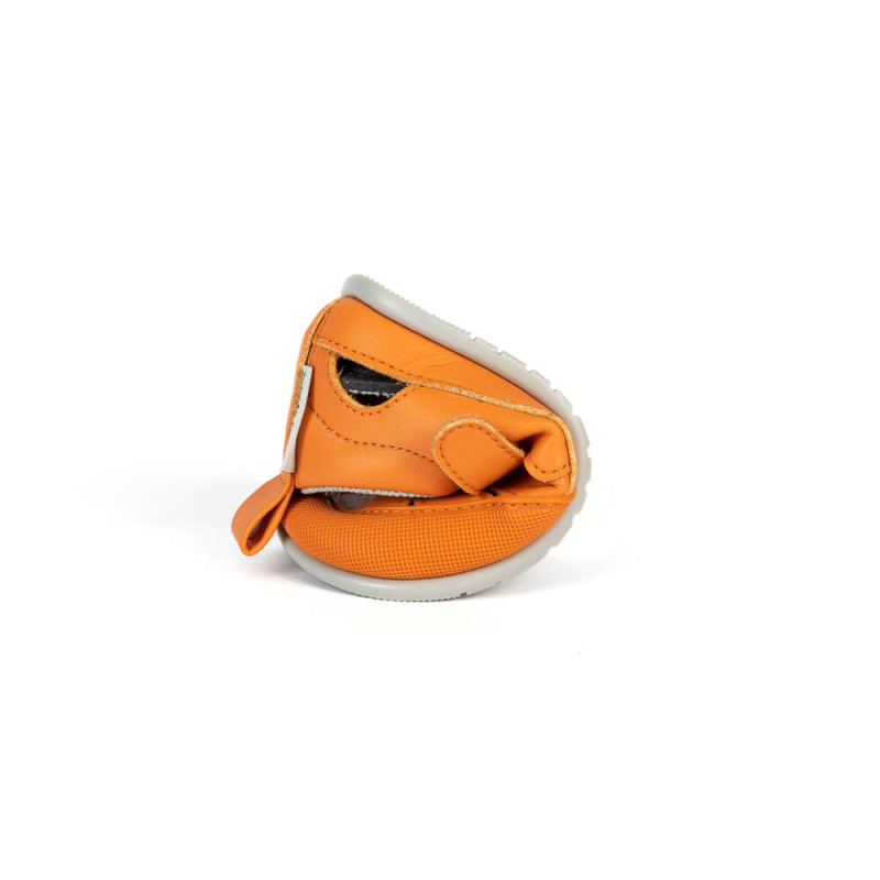 Zapato feroz Zapato Feroz Féroces Irta Orange 2023