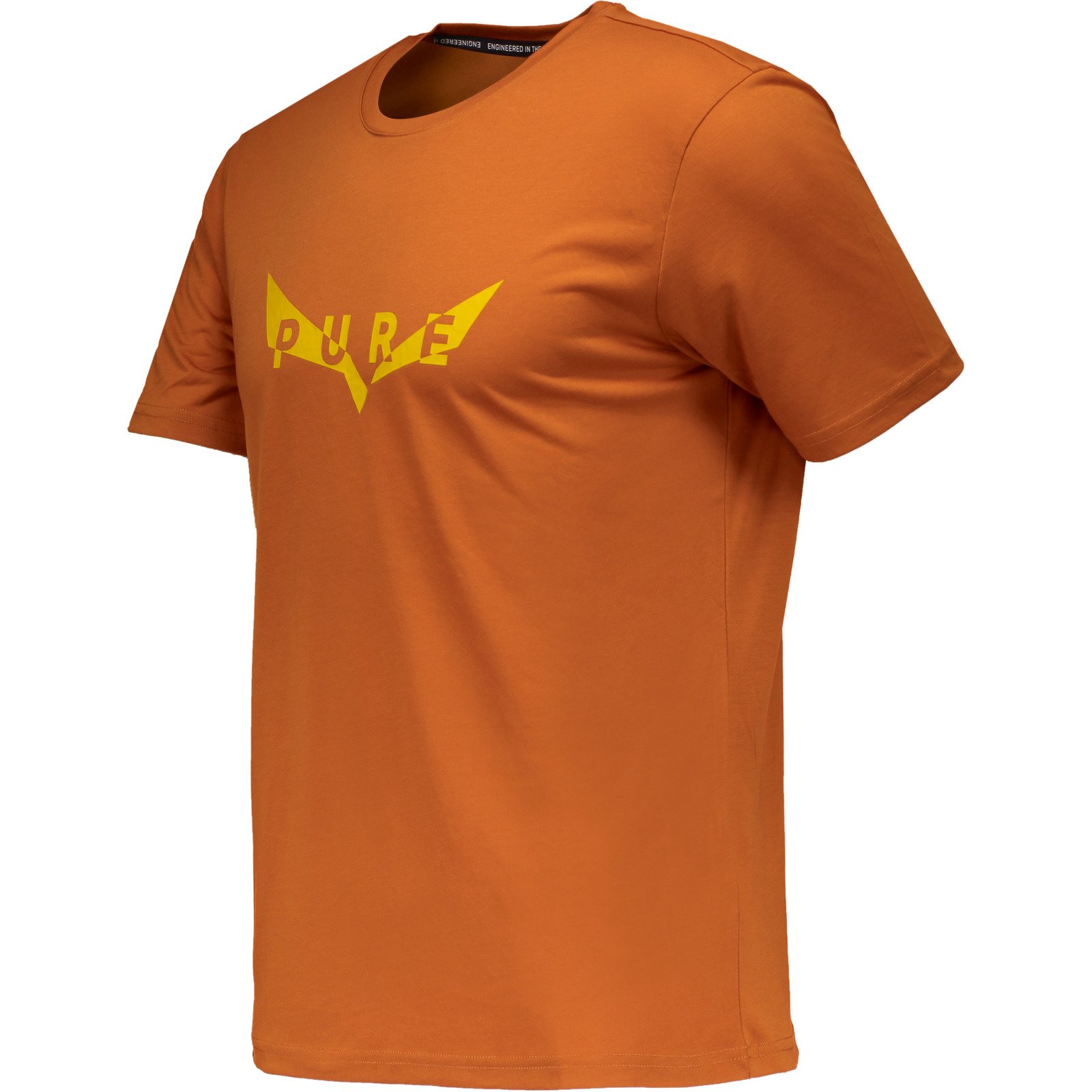 Salewa Herren-T-Shirt Pure Eagle Dry T-Shirt