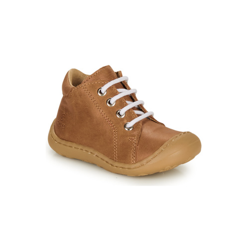 GBB - FREDDO - Cognac