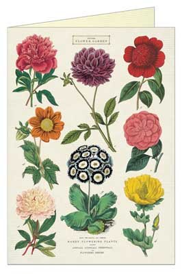 Botanica Card