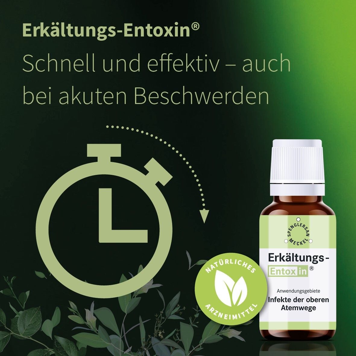 Erkältungs-Entoxin® Tropfen