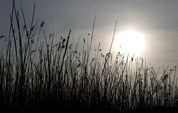 Fotokurs in Prerow als besondere Geschenkidee
