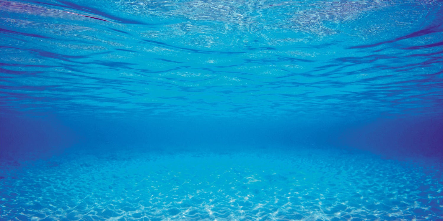 Juwel aquarium decoratie Poster 2 L blauw 100 x 50 cm