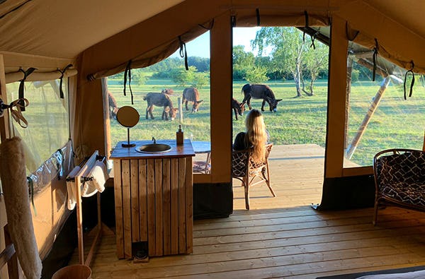 Camping im Tierpark Warden