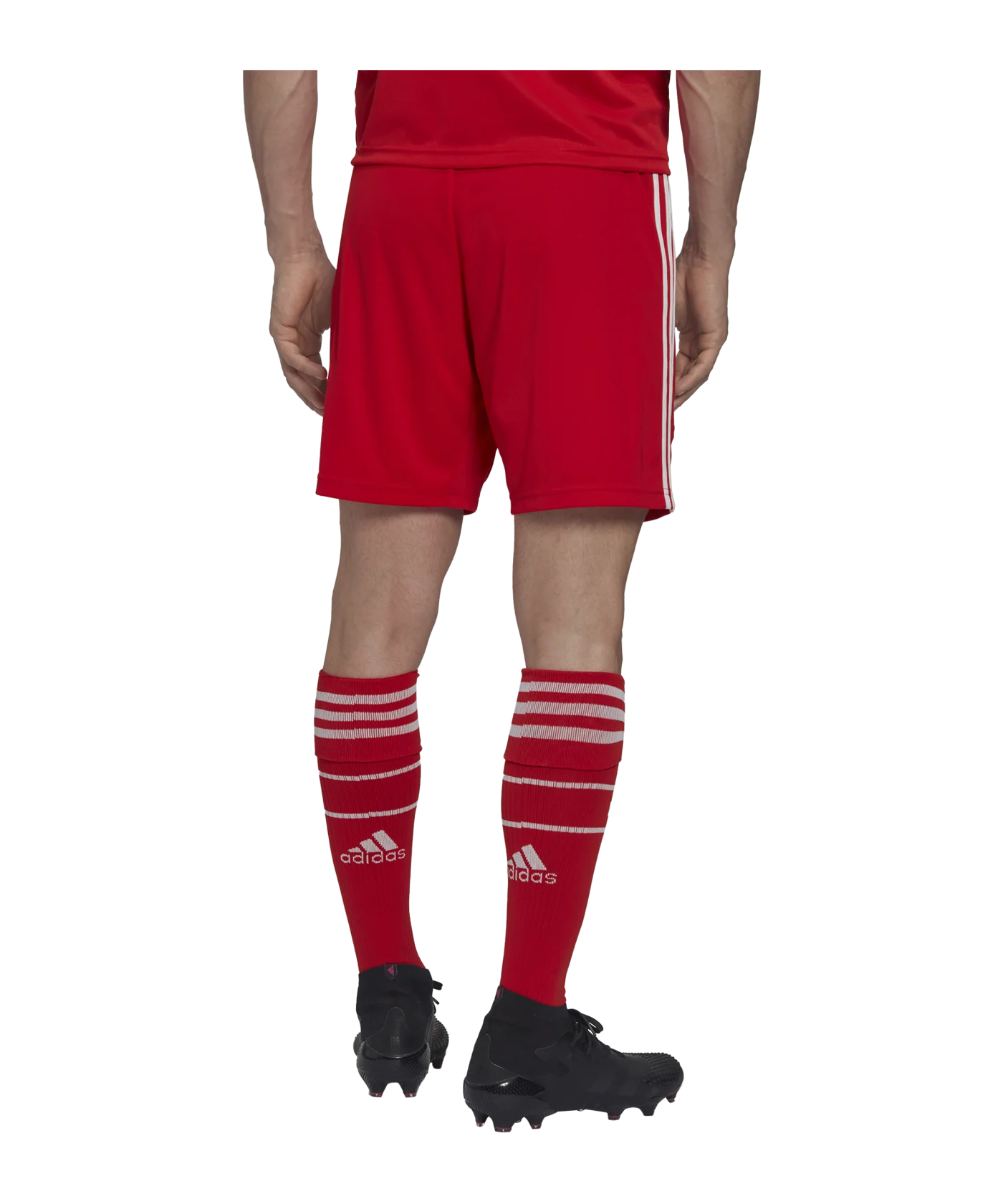 adidas FC Bayern München Short Home 2022/2023 Rot