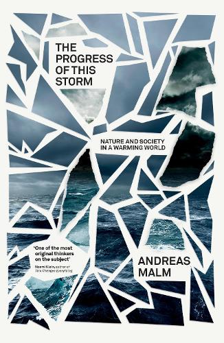 The Progress of This Storm: Nature and Society in a Warming World (Paperback)
