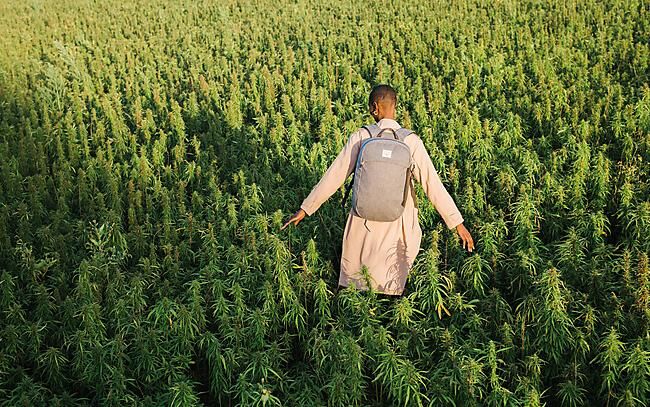 OSPREY - SAC A DOS LIFESTYLE ARCANE LARGE DAY HEMP