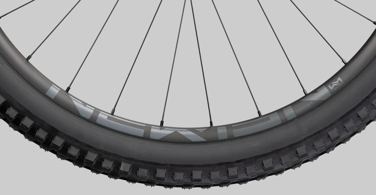 Radon Swoop 10.0 HD kaufen | Bike-Discount