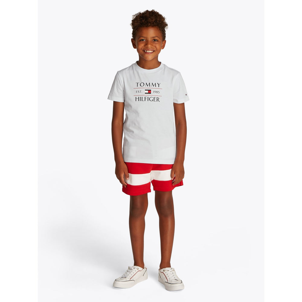 Køb Tommy Hilfiger White Flag Reg T-Shirt