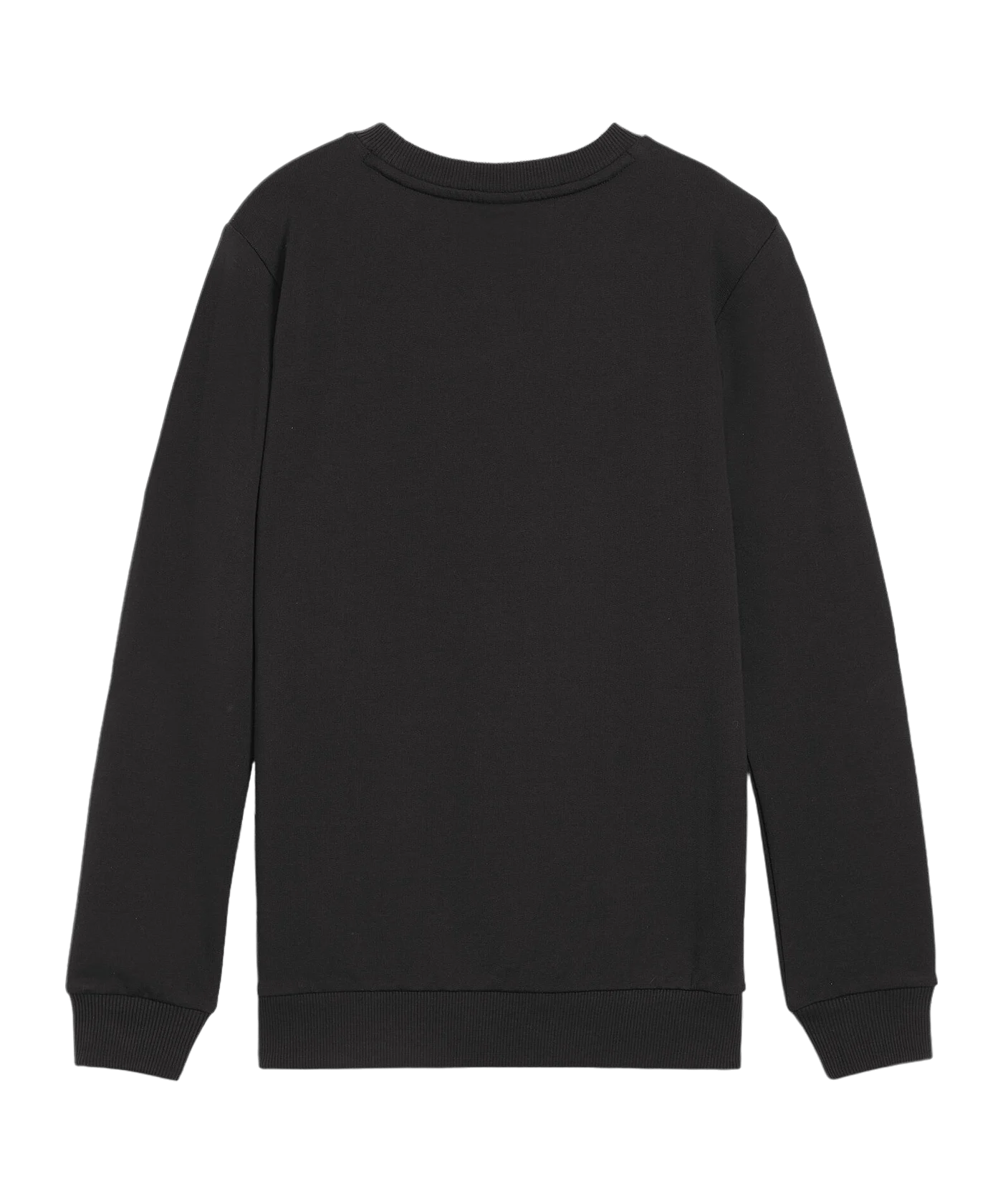 PUMA teamGOAL Casuals Sweatshirt Kids Schwarz F03