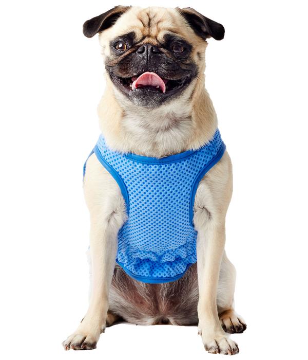 GF PET® Elastofit® Hundekühlweste