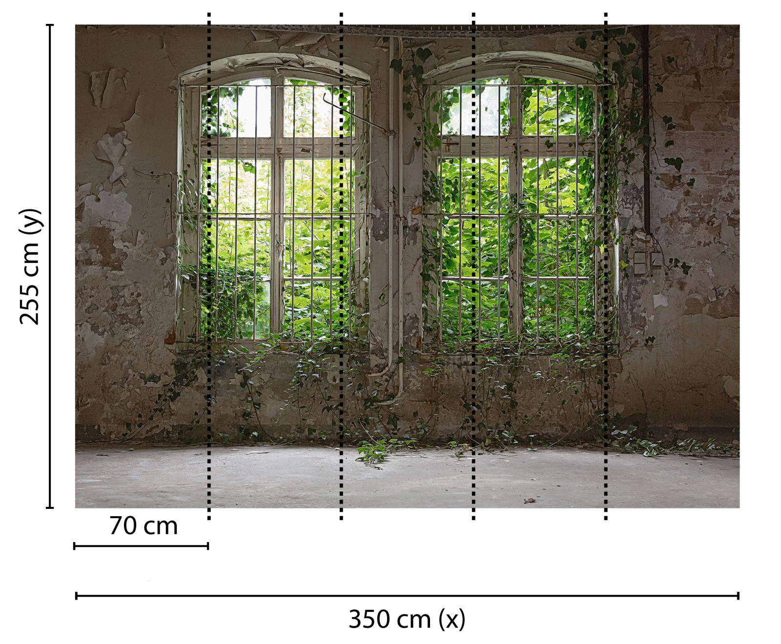 Fototapete DESIGNWALLS - grün-grau - Fenster - 2,55 Meter