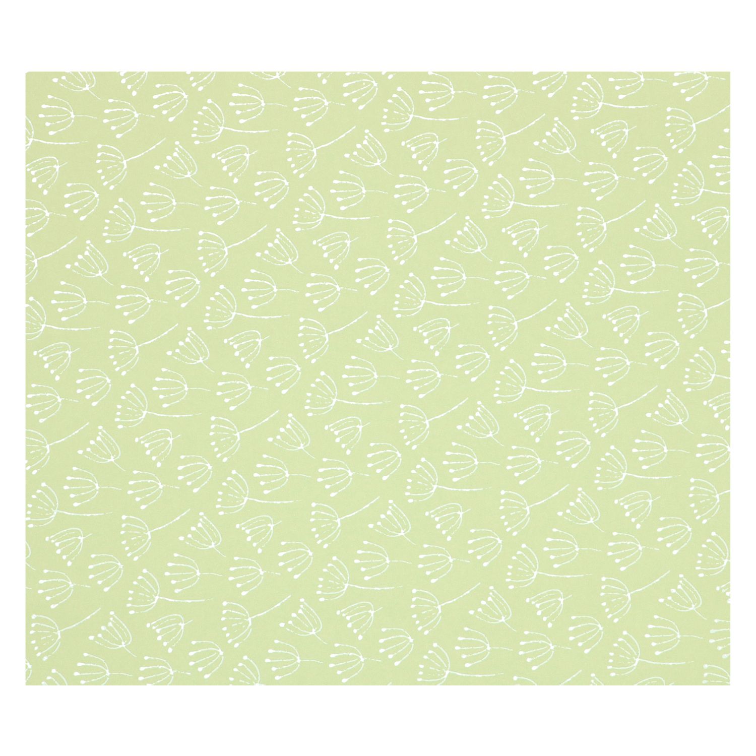 Inpakpapier, groen, schermbloem 70 x 250 cm