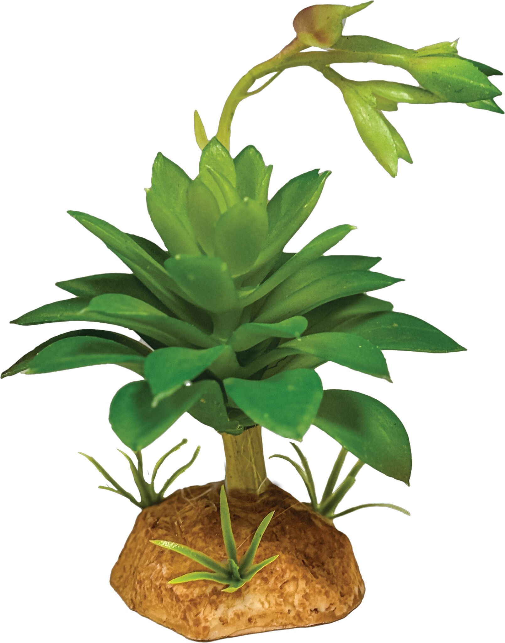 Repto Terrarium Kunstplant Succulent Green