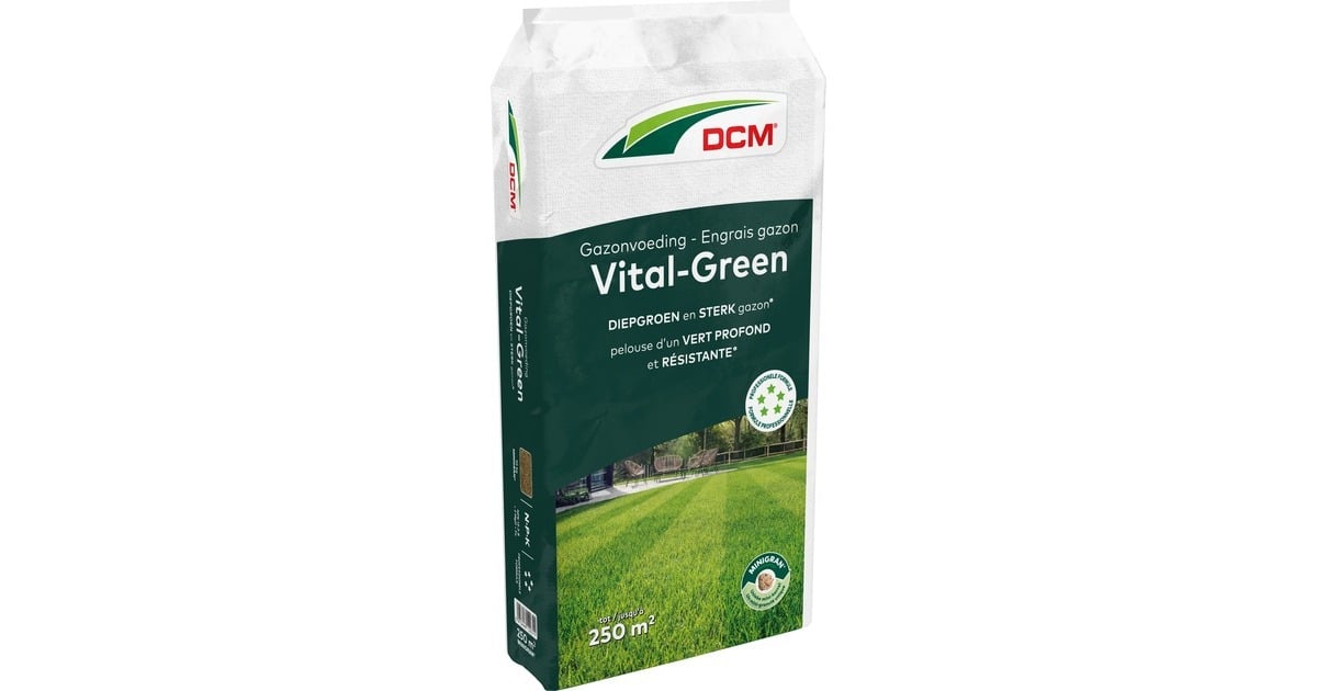 DCMMeststof Vital-Green Gazon 10 kg  (Tot 250 m²)