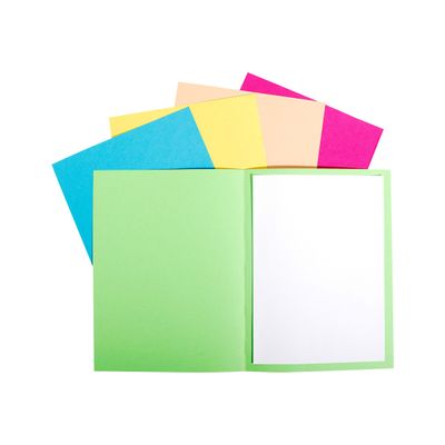 Exacompta Forever Foldyne - 100 Chemises - 170 gr - couleurs assorties