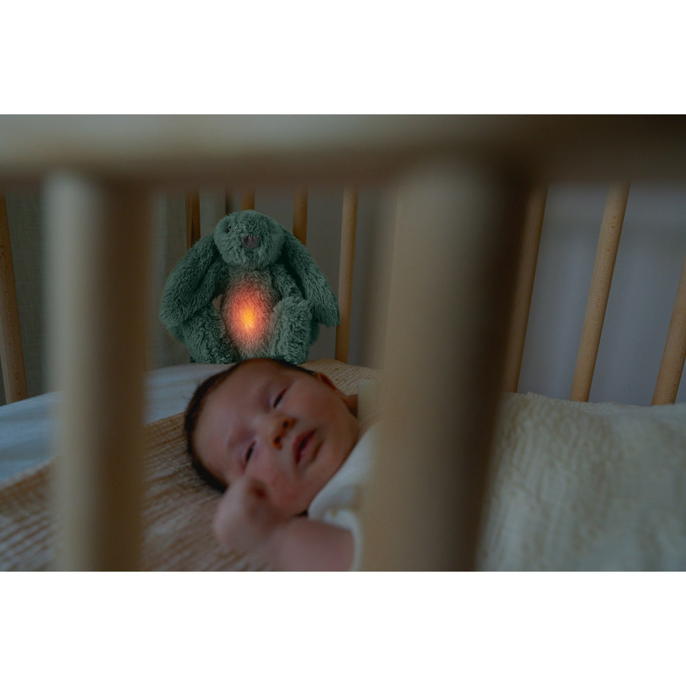 Køb Zazu Green Ro The Rabbit Nightlight